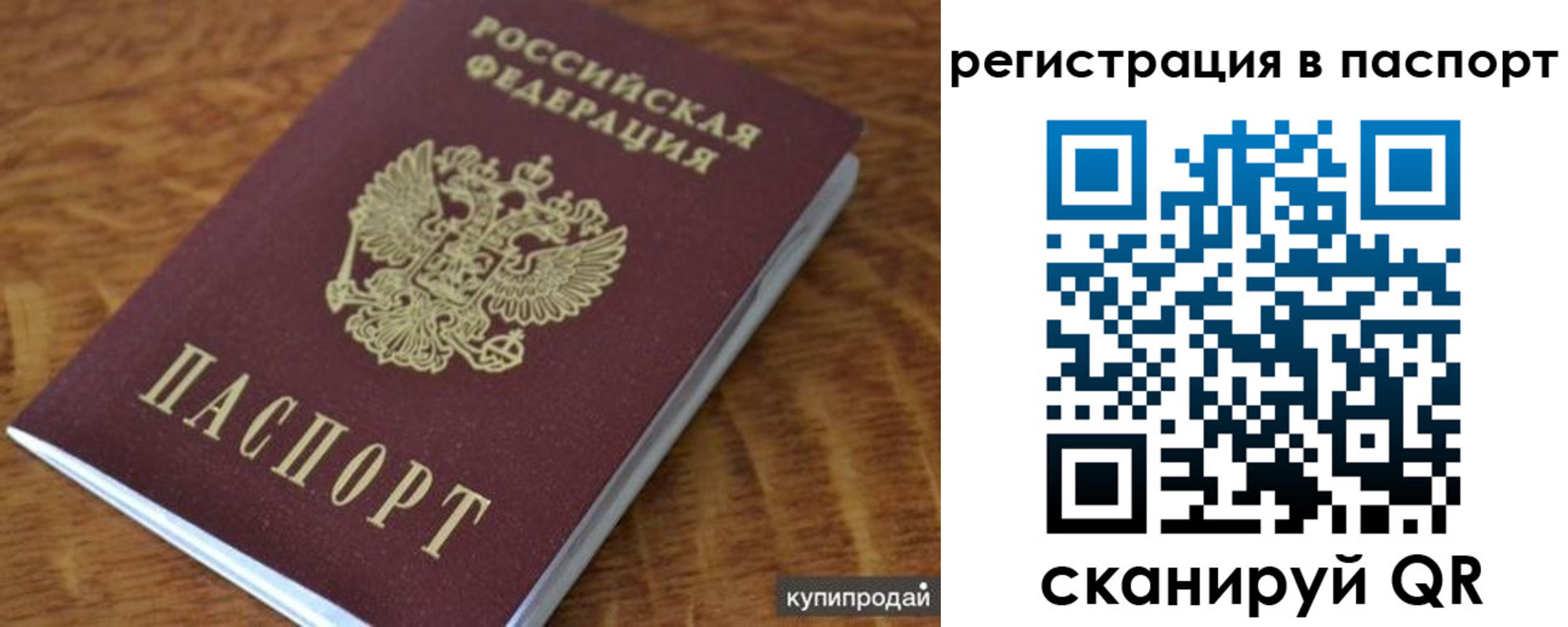 временная регистрация гарантия в Волгоградской области